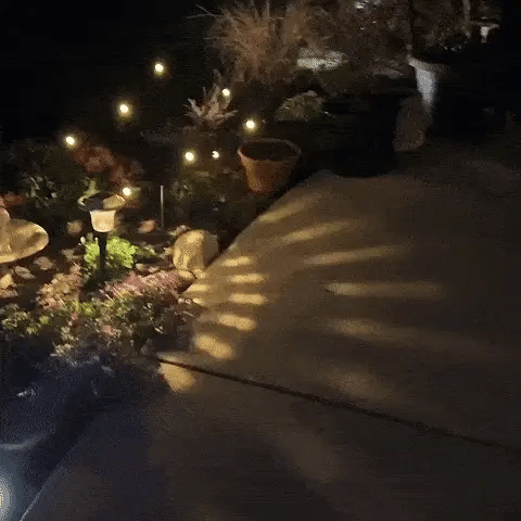 LED Firefly Lights Solar Powered (10 LEDs)